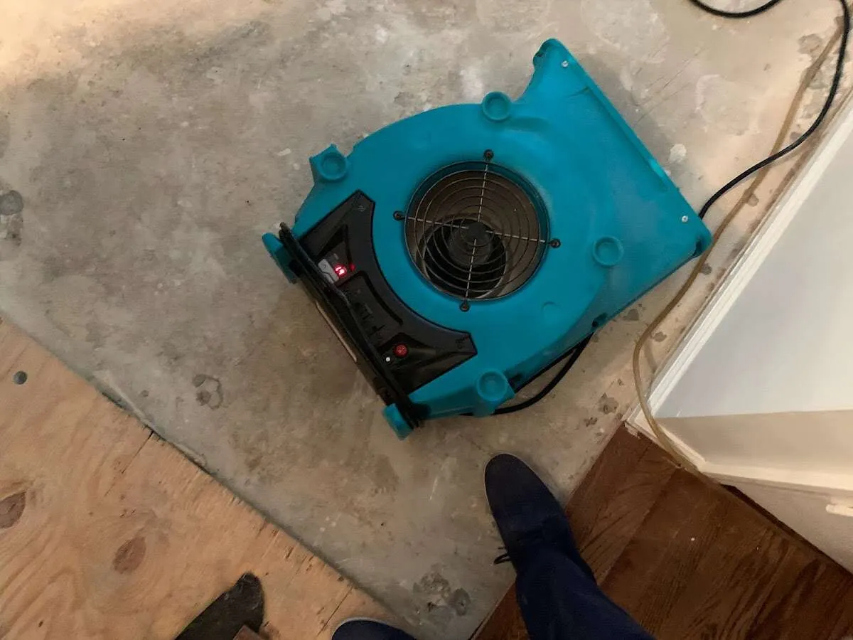 Air mover drying subfloor during Commercial Water Damage Restoration in Williamstown